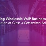 Class 4 Softswitch: Redefining Advantages of Signaling for Wholesale VoIP Business