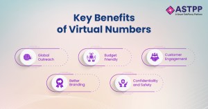 Virtual Numbers